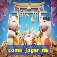 como jogar na lotinha do jogo do bicho